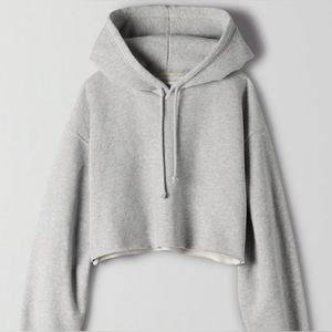 ARITZIA TNA Cozy Fleece Boyfriend Cropped Hoodie, Light Grey